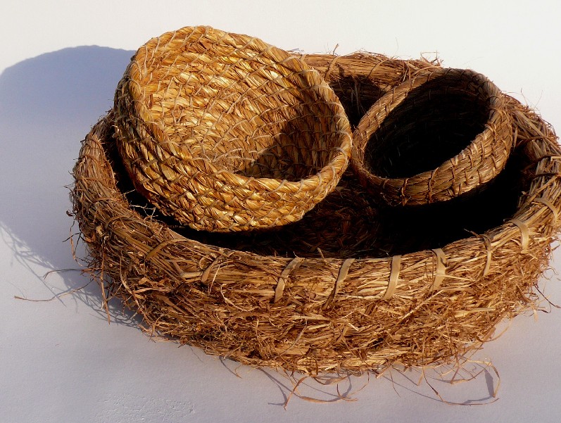 Grass Baskets Course In Sussex With Native Hands