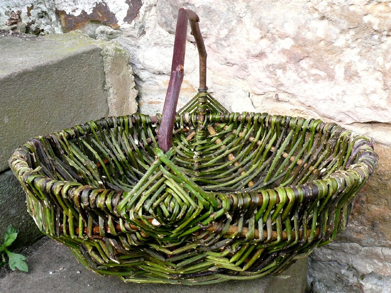 bramble & wild rose frame basket