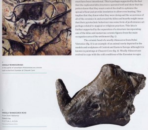 Wooly rhinocerous head from Dolni Vestonice