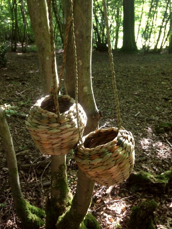 rush foraging baskets