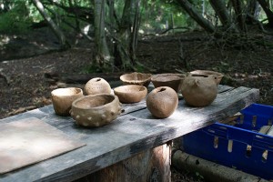 Wild pottery