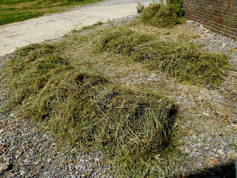 grass baskets, foraged grass