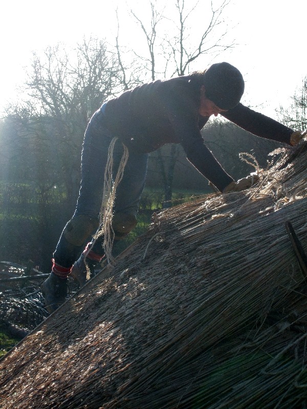 thatching Iron Age roundhouse