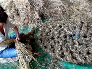 hay rope, weaving with foraged grass