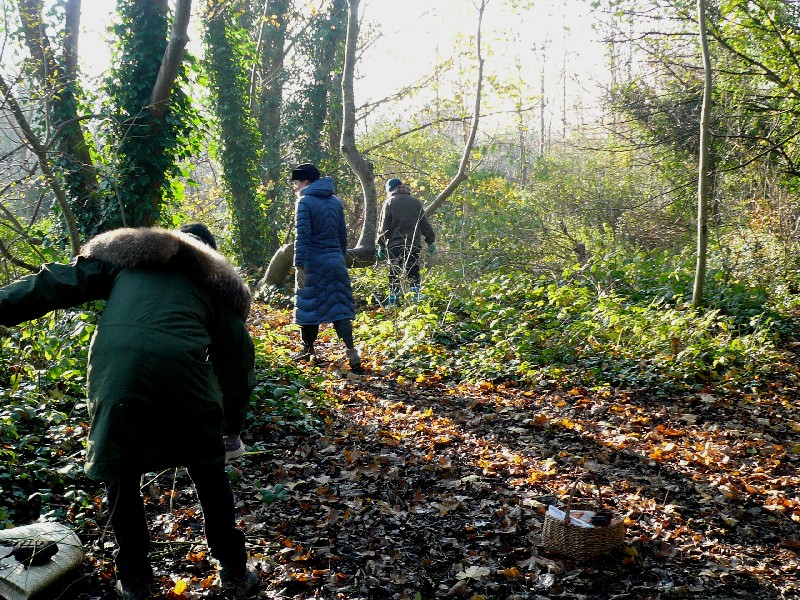 foraging brambles