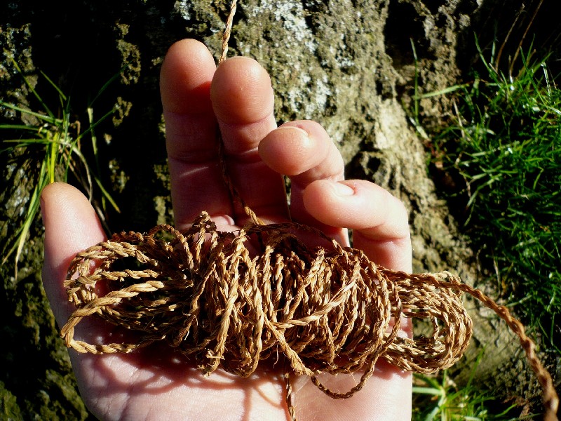 Cordage Course with Native Hands in Sussex