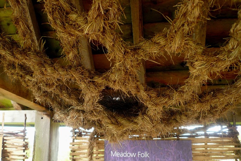 wakehurst nest in netting