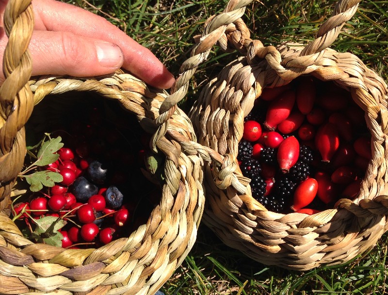 foraging baskets course sussex