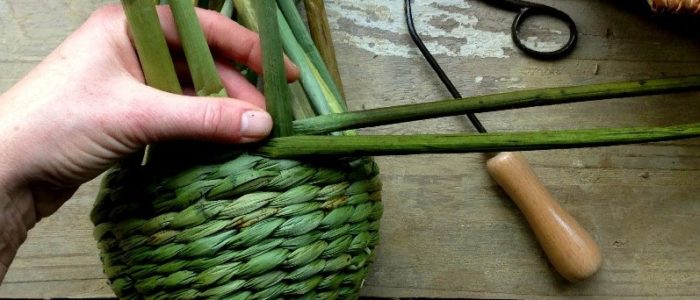 rush basketmaking nsussex