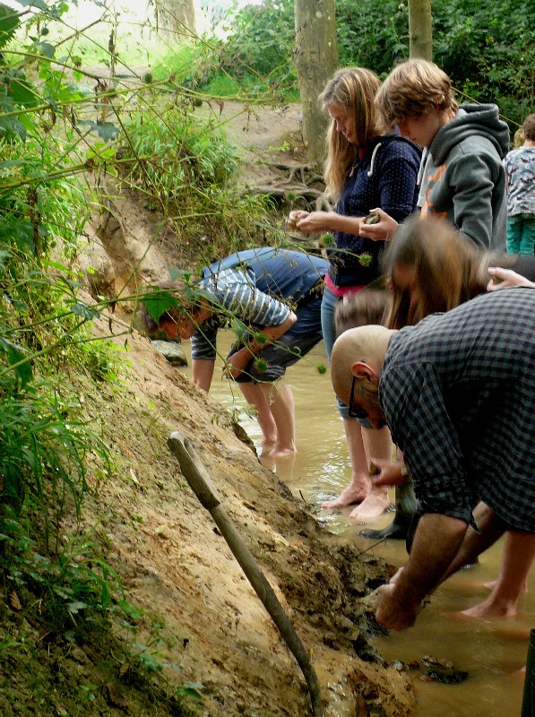 wild pottery course sussex