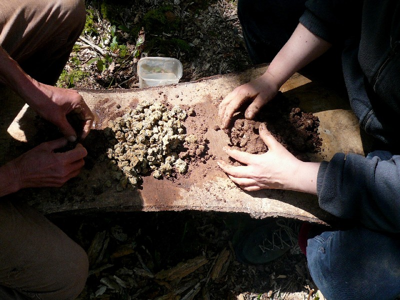 wild pottery course sussex