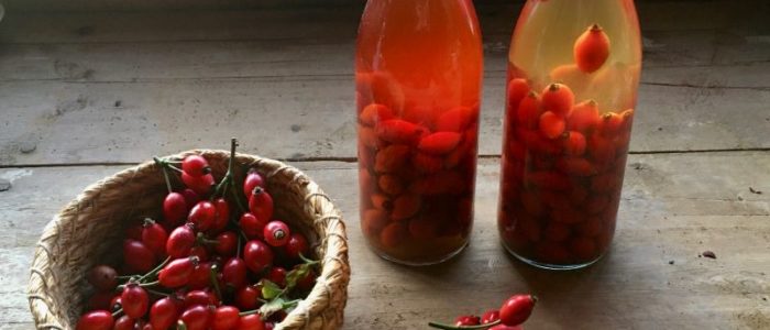 rose hip vinegar recipe
