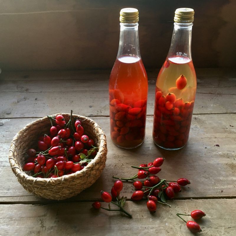 rose hip vinegar recipe