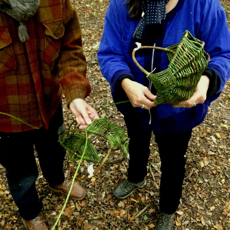 Native Hands woodland courses Sussex