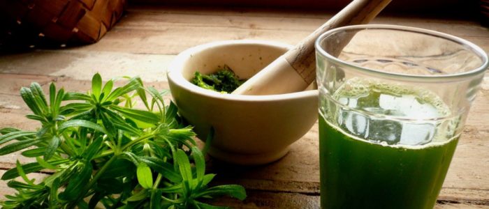 cleavers and nettle juice