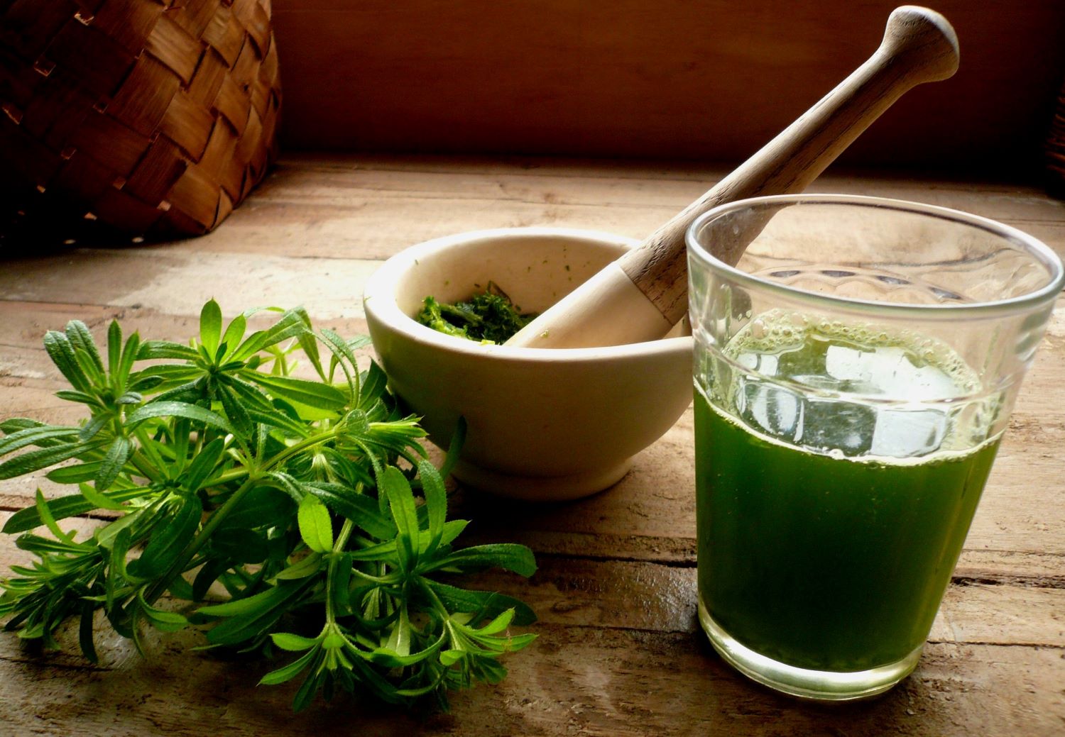 cleavers and nettle juice