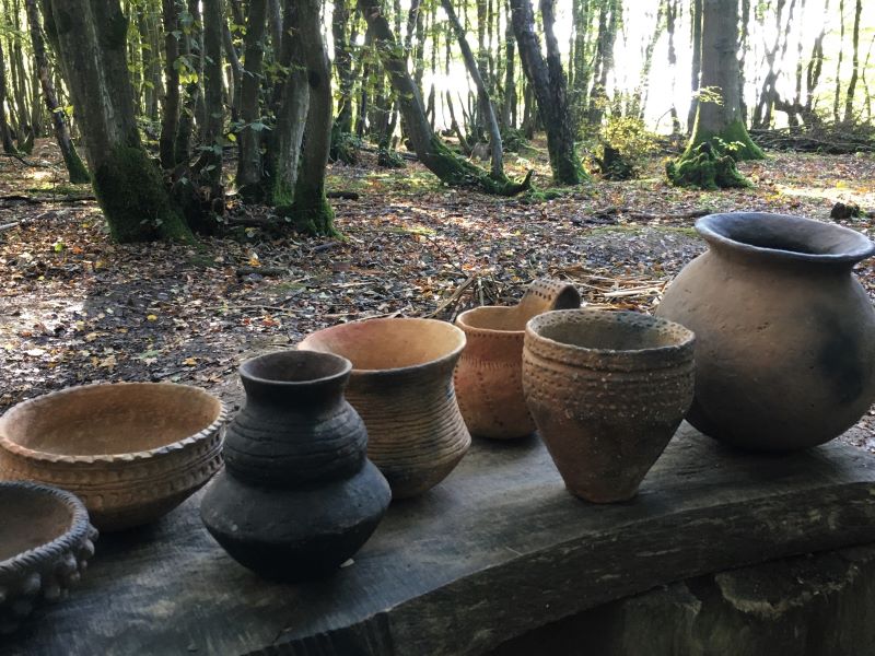 wild pottery