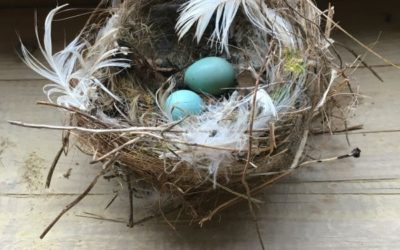 Nests and Baskets