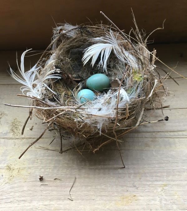 Nests and Baskets