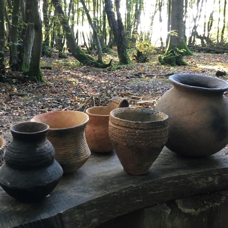 wild pottery