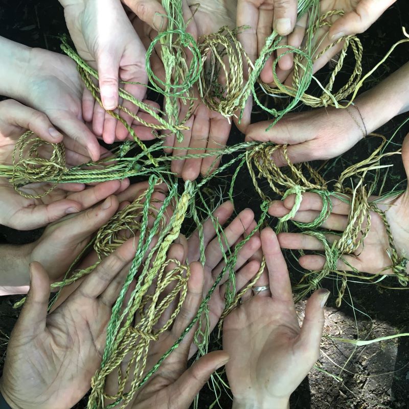 foraging brambles