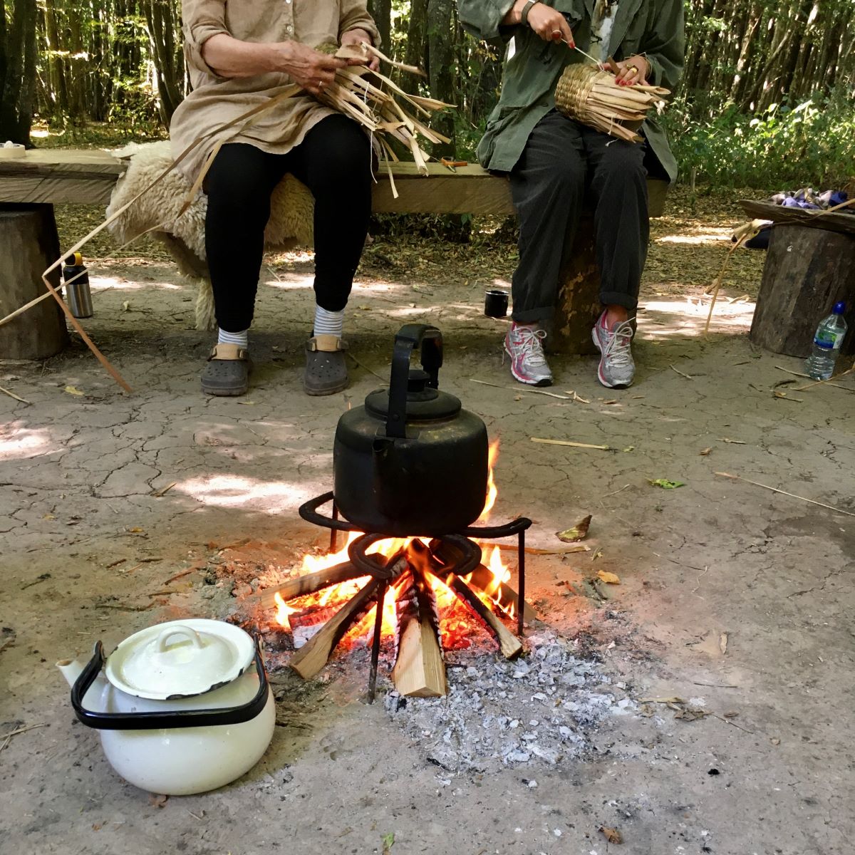 mindfulness in nature course sussex