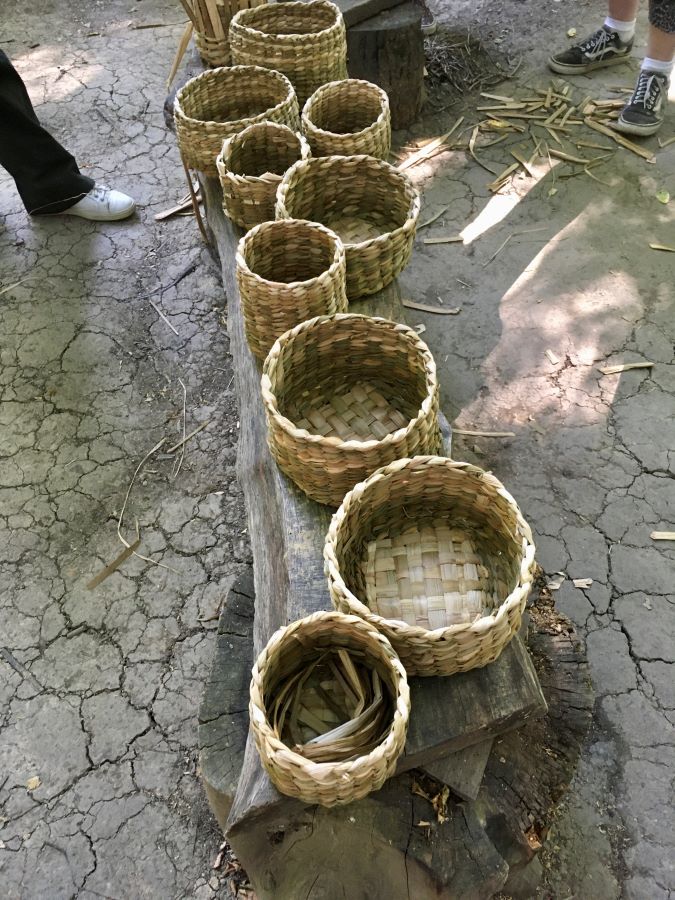 reed mace basketry course