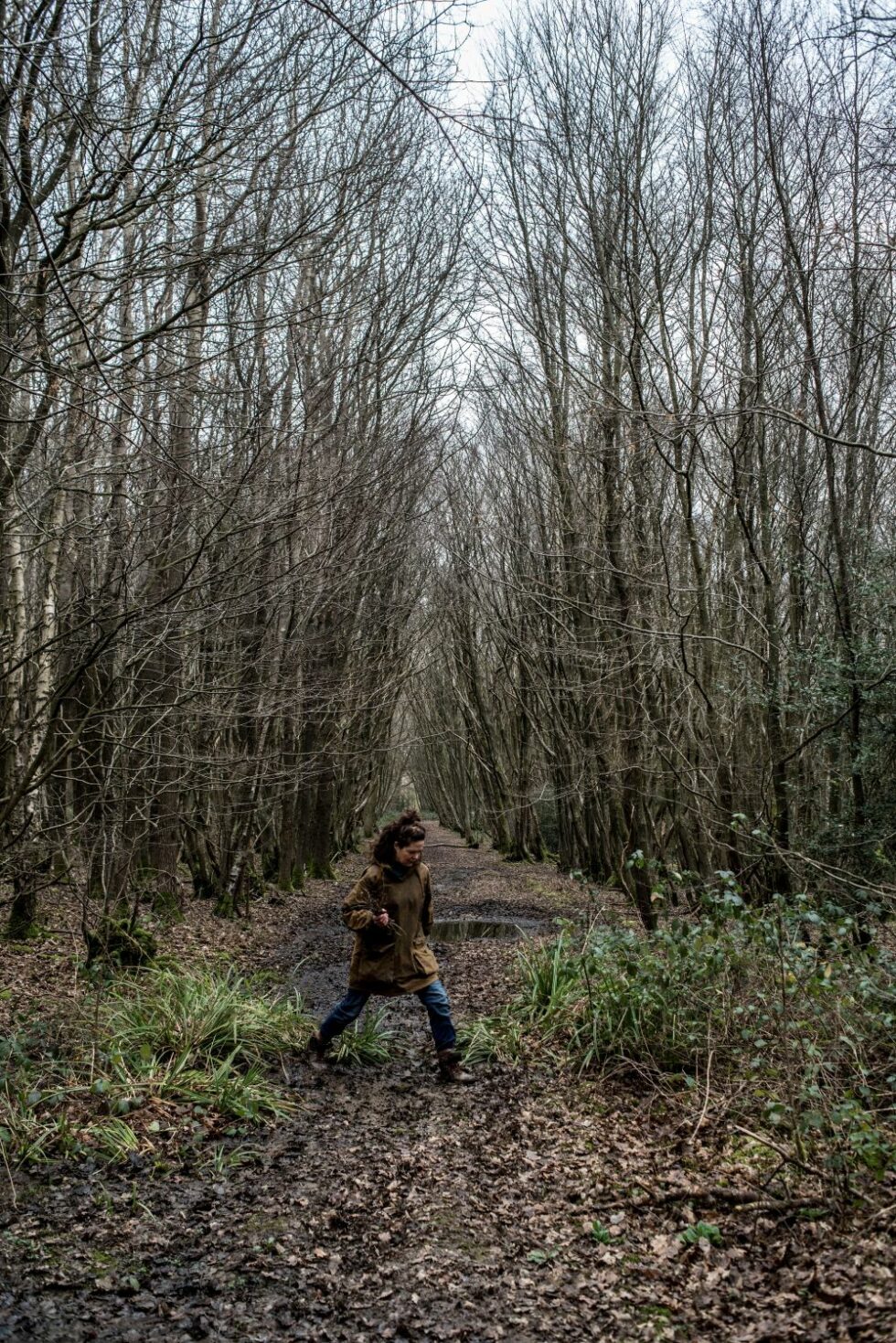 Twig Brambles Threading Thorns | Bramble Baskets