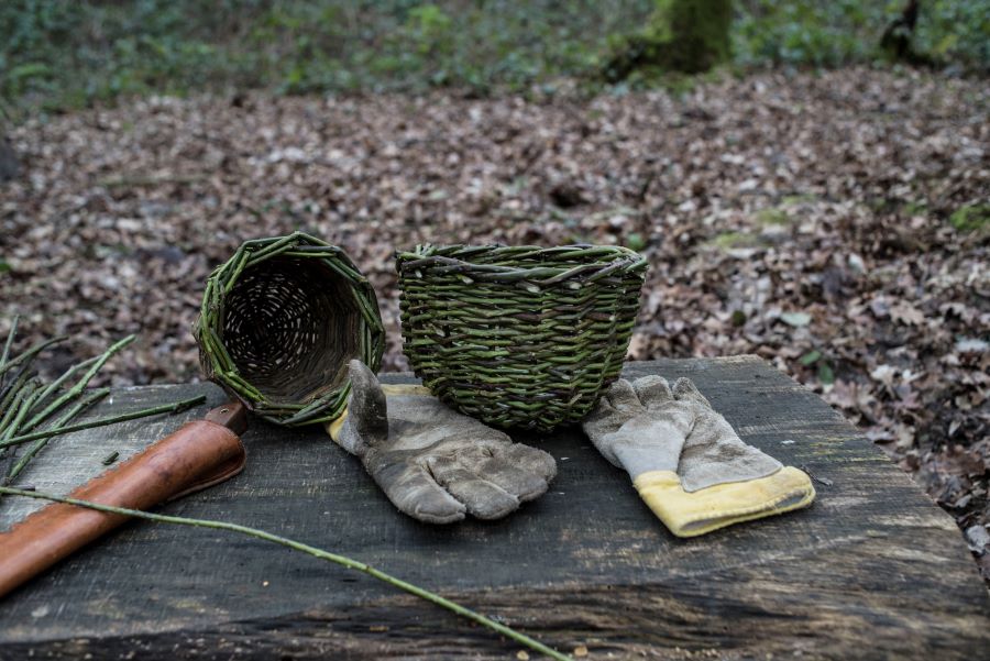 wild pottery