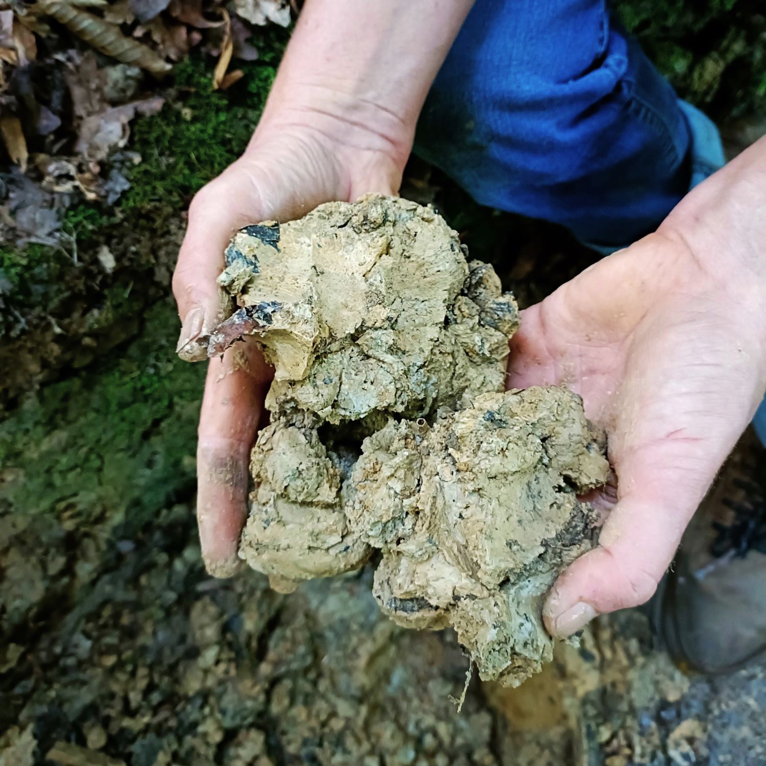 wild clay course sussex