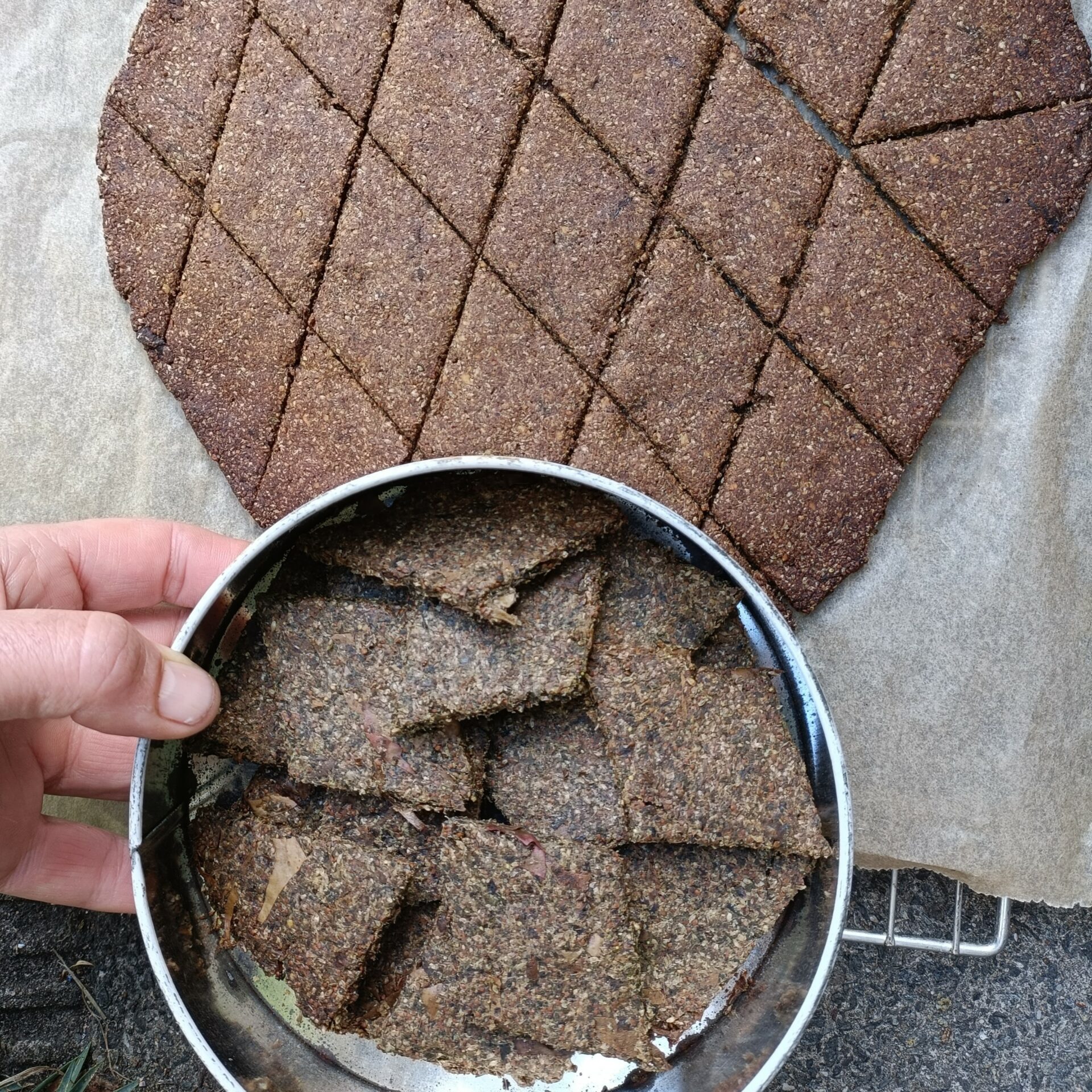 foraging baskets course sussex