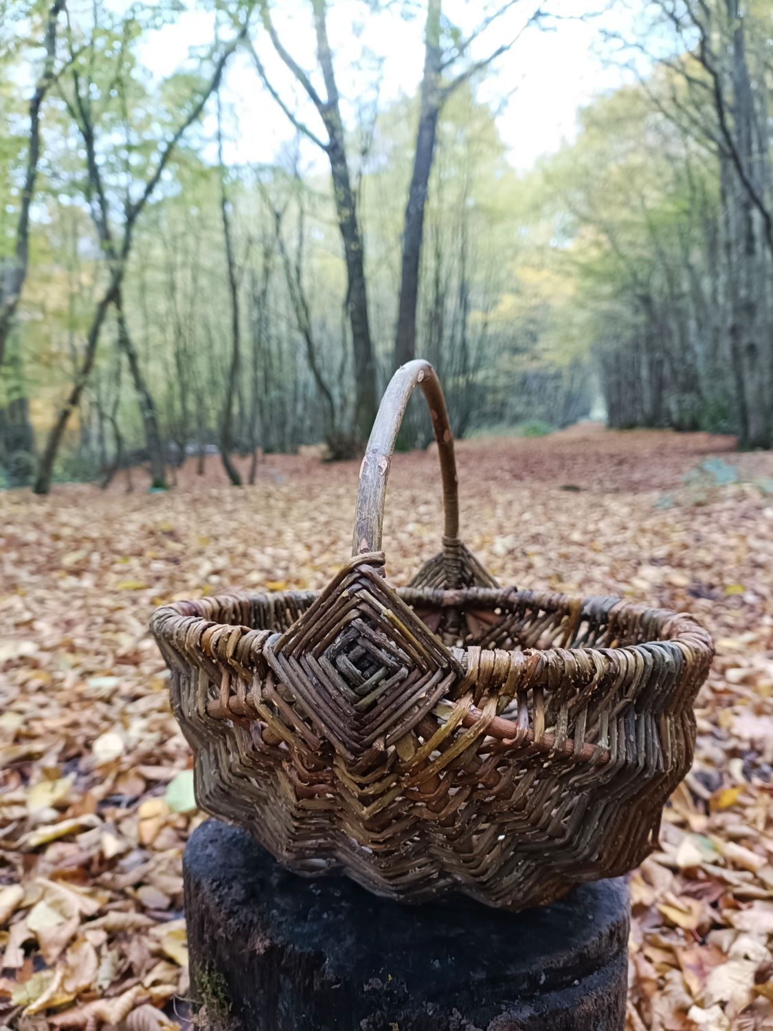 bramble & wild rose frame basket