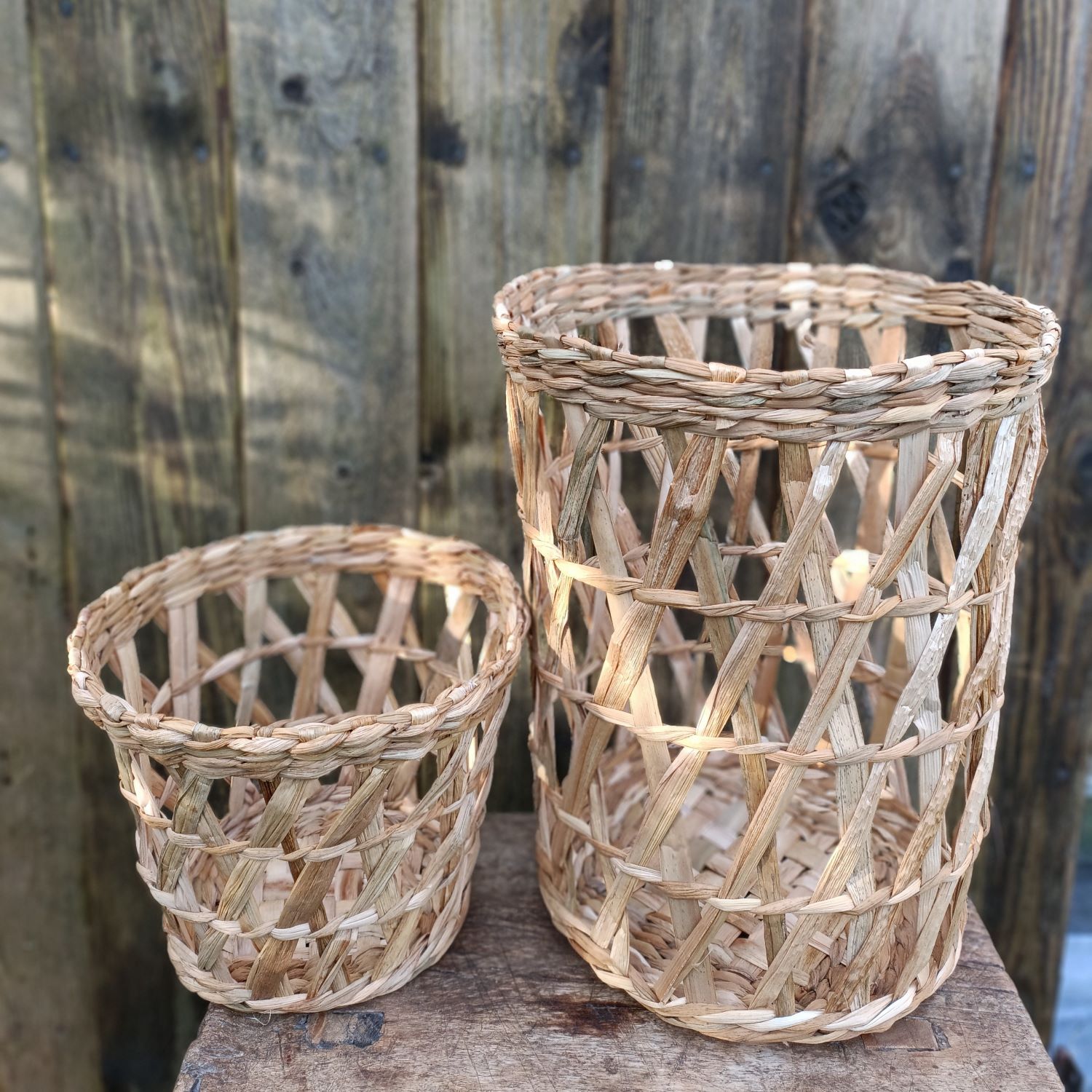 reed mace baskets