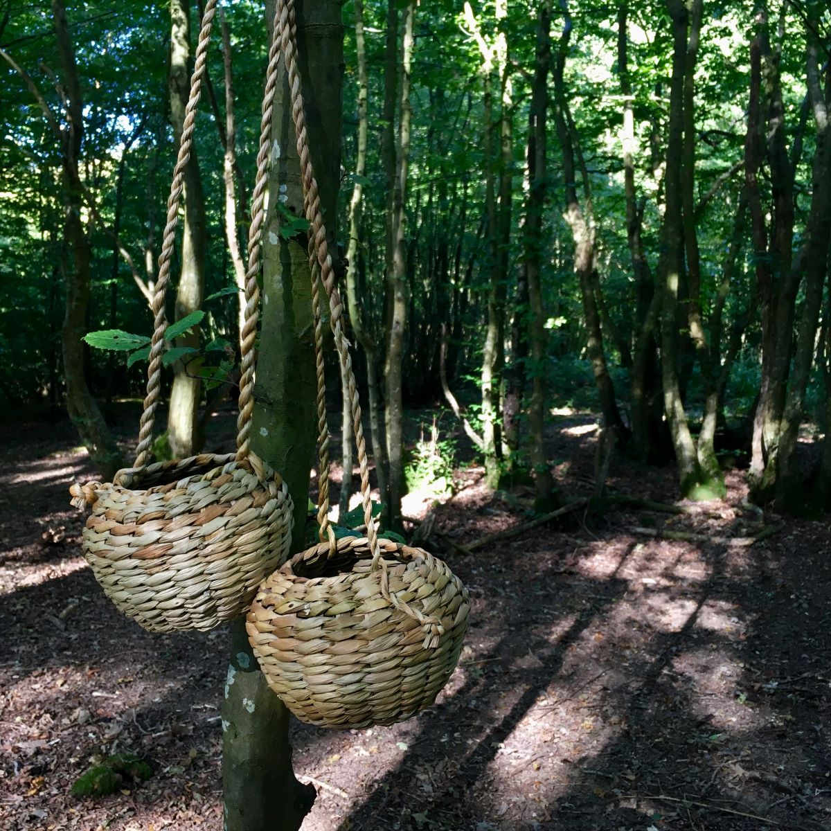 rush foraging baskets