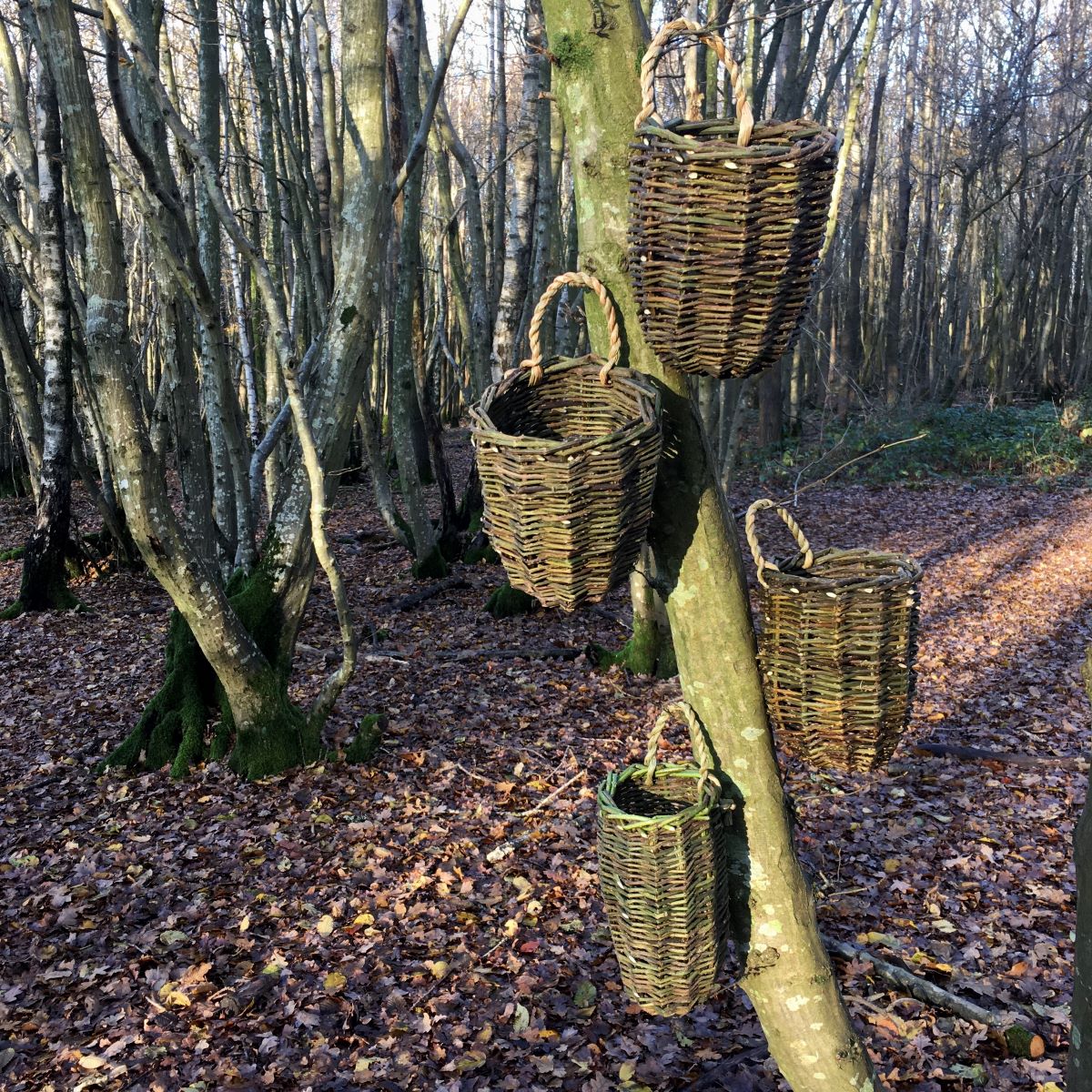 bramble baskets course