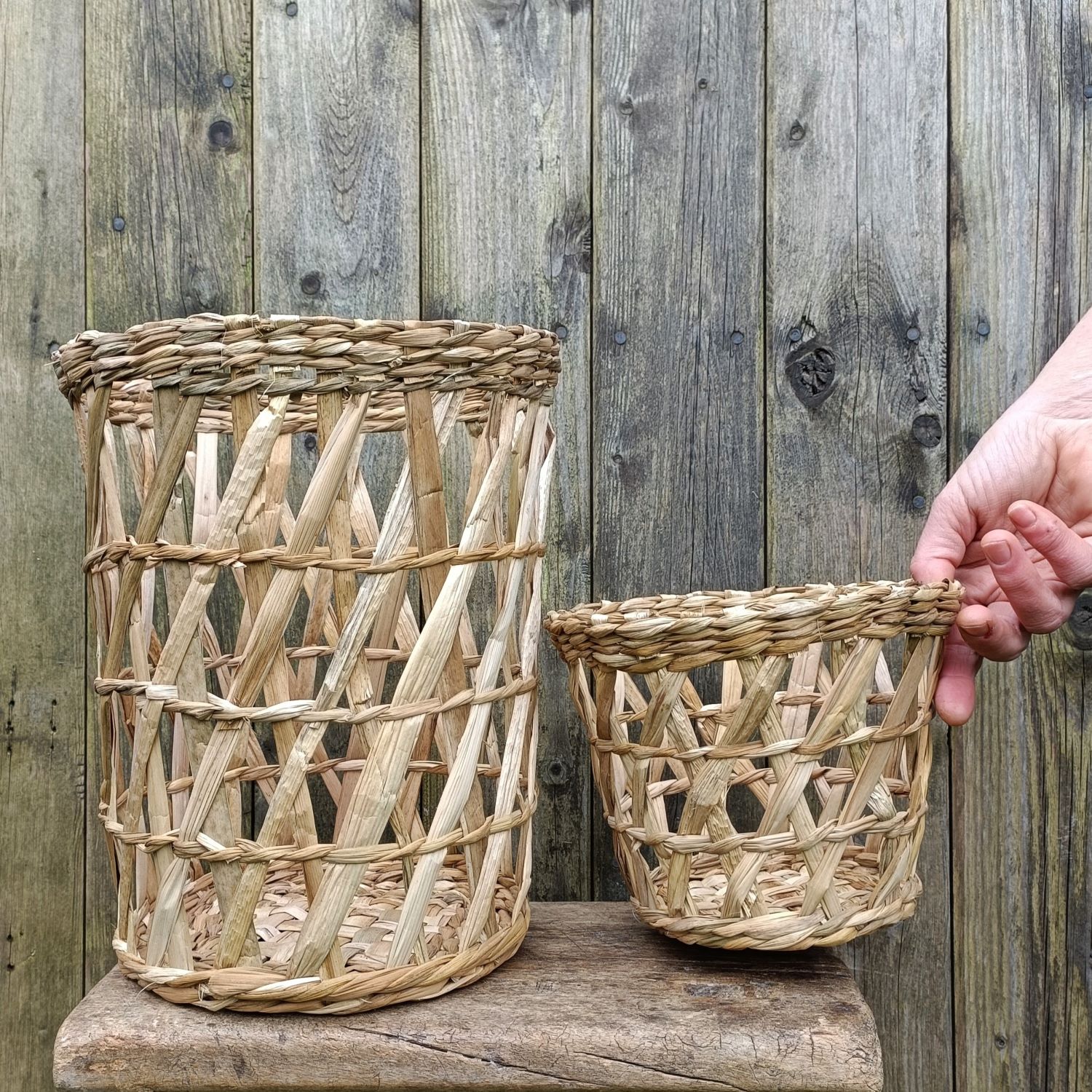 reed mace baskets