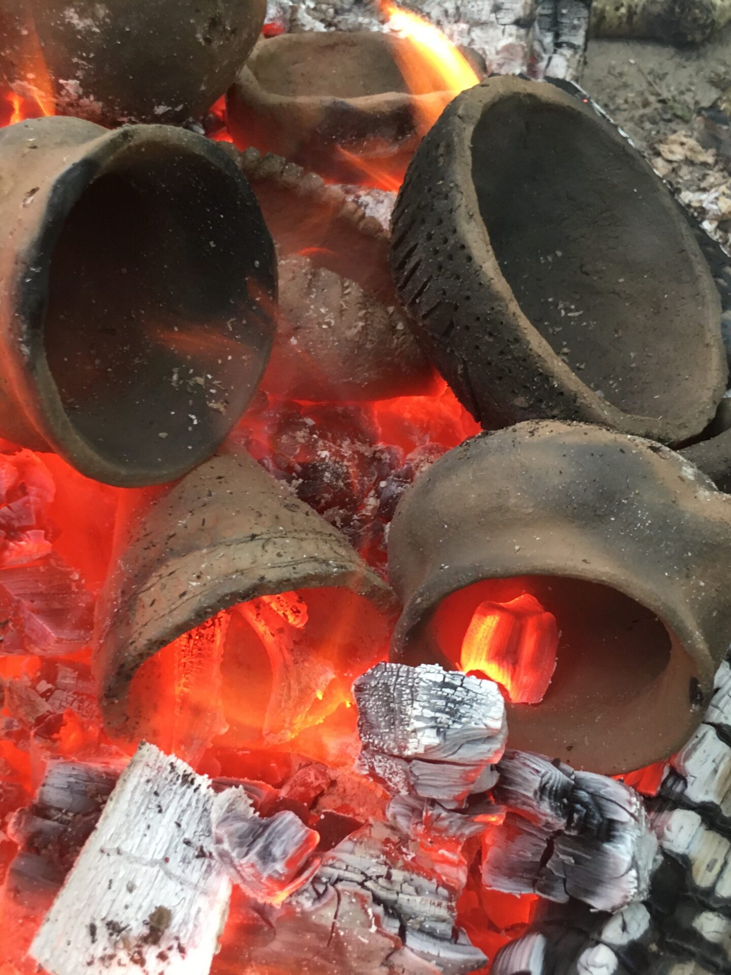 Wild Pottery courses