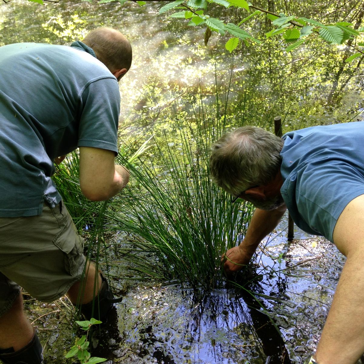 Cordage Course with Native Hands in Sussex
