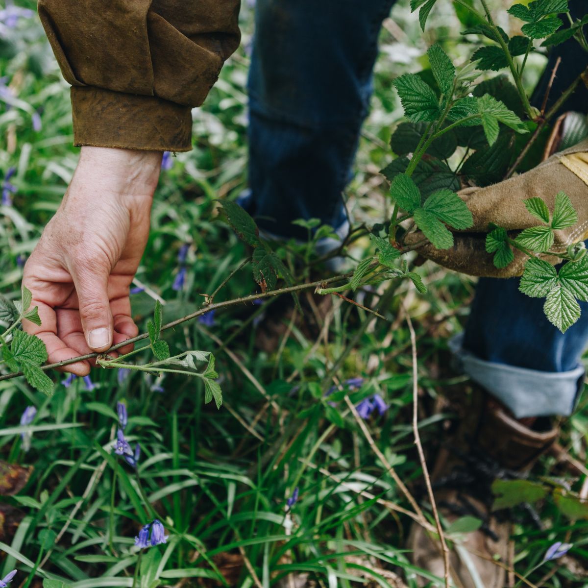 bramble baskets course