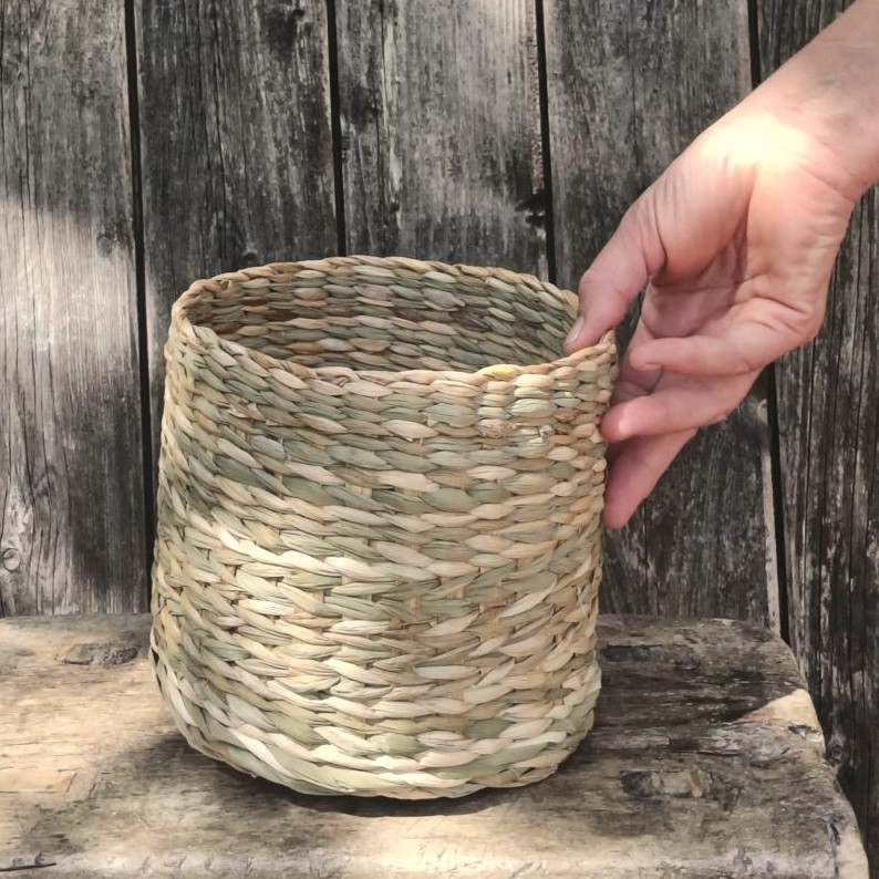 wild basketry bulrush reed mace reed mace baskets